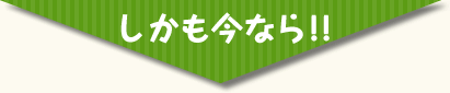 今なら!